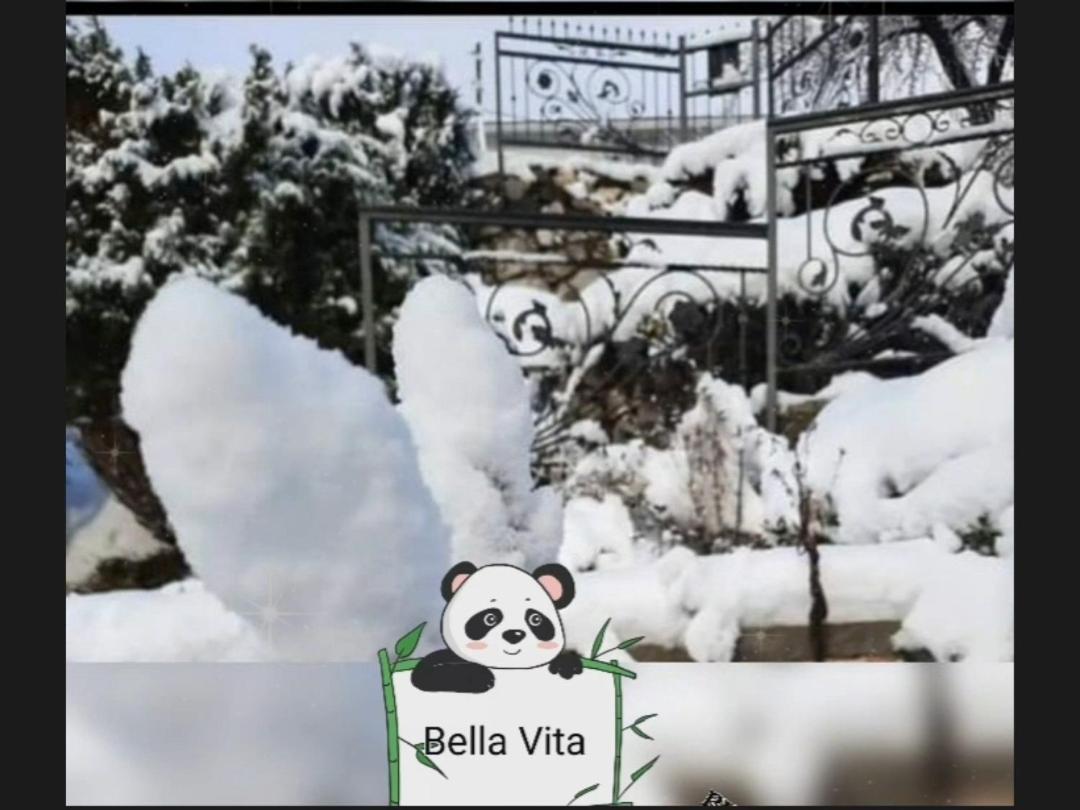 Apartman Bella Vita Kolašin Rom bilde